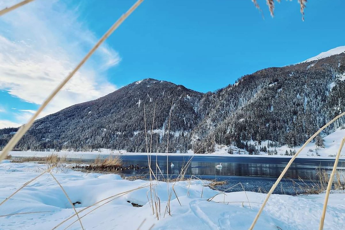 Foto von Wilhalm Tobias - Lago di Resia in Inverno